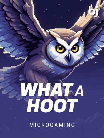 হোয়াট এ হুট game icon